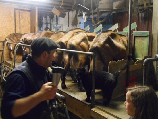 la ferme de vigne haute
