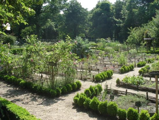 la jardin botanique medieval
