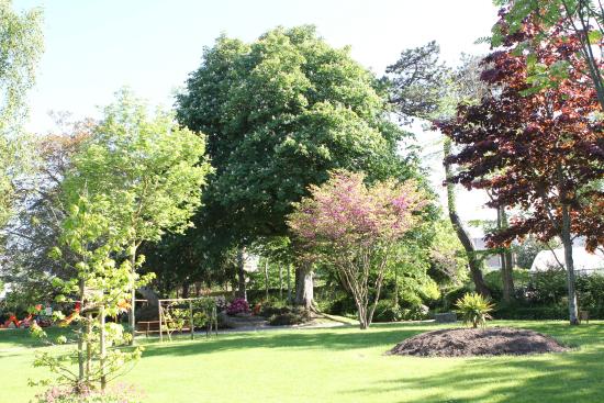la maison de la baleine