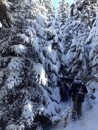 la maison du randonneur