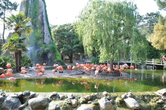 la palmyre zoo