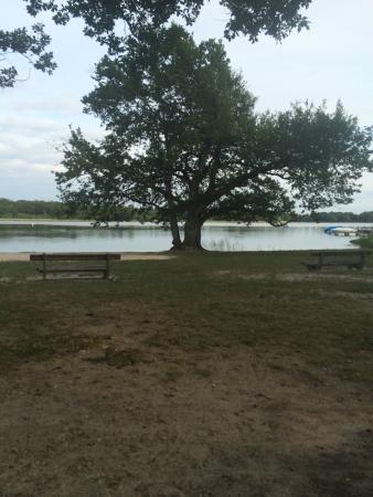 la plage de l etang du