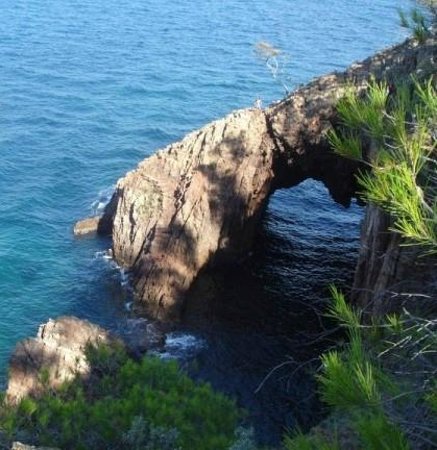 la pointe de l aiguille