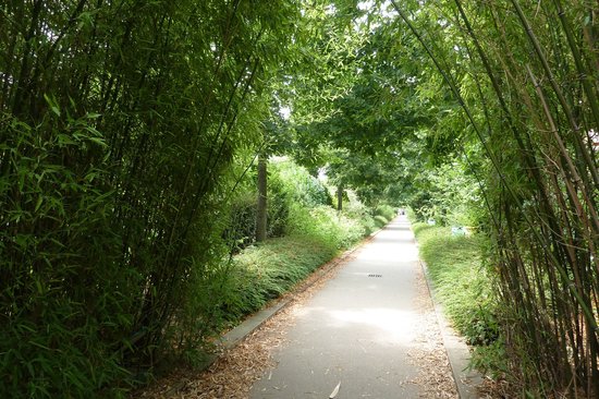 la promenade plantee