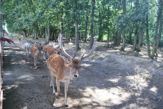 la reserve de beaumarchais
