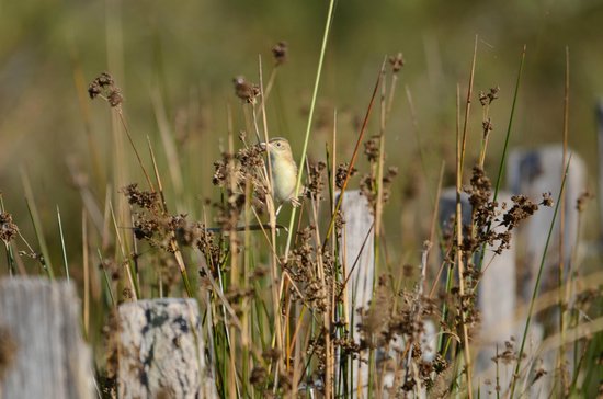 la reserve naturelle