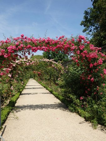 la roseraie du val de