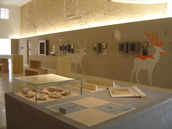 la sabline musee de prehistoir