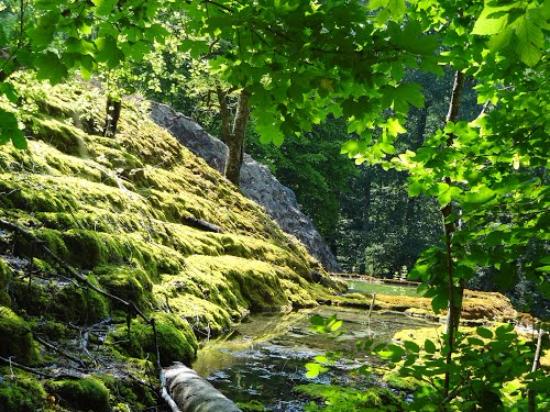 la tuffiere source petrifiante