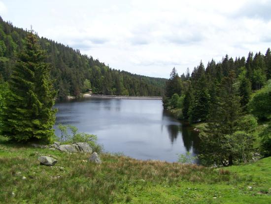 lac des truites