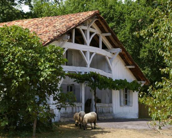 landes de gascogne regional
