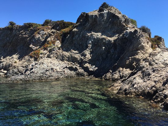 laquavision permet de