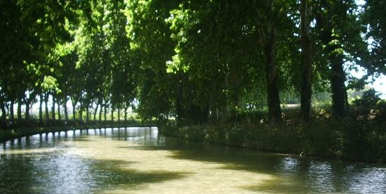 le canal du midi a trebes