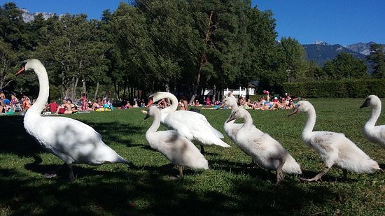 le defile de la famille