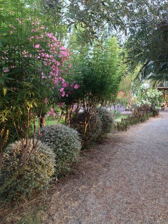 le jardin d ariane sainte