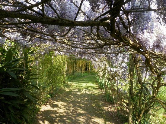 le jardin de saint avit