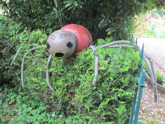 le jardin du tilleul