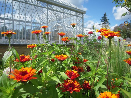 le jardin potager de