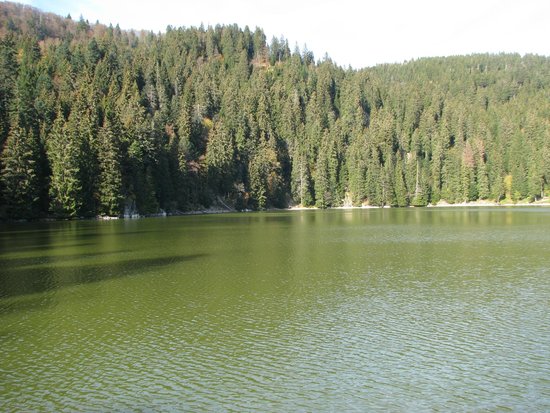 le lac vert