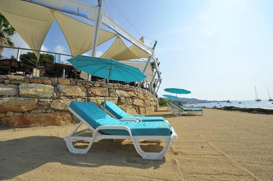 le paddock plage privee