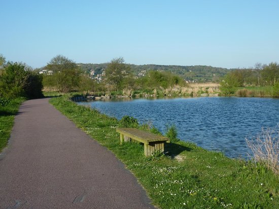le parc naturel du marais