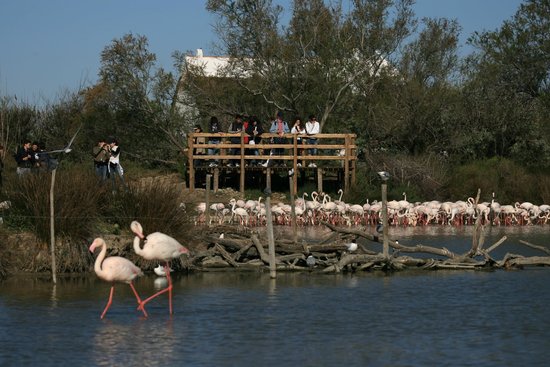 le parc ornithologique