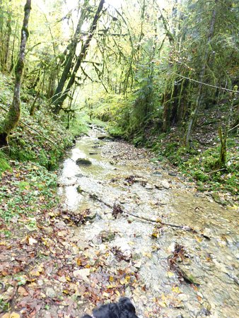 le passage a guet ici