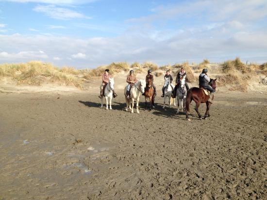 le petit ranch de marie
