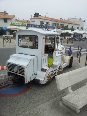le petit train camarguais