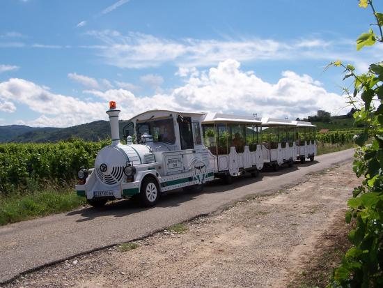 le petit train des vignes