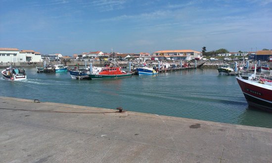 le port de la cotiniere