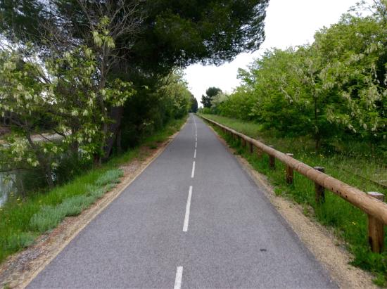 le printemps en camargue