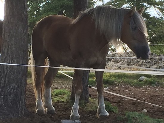 le ranch lagas a valberg