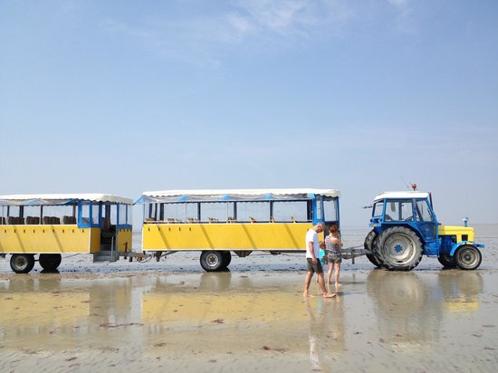 le train a marree basse