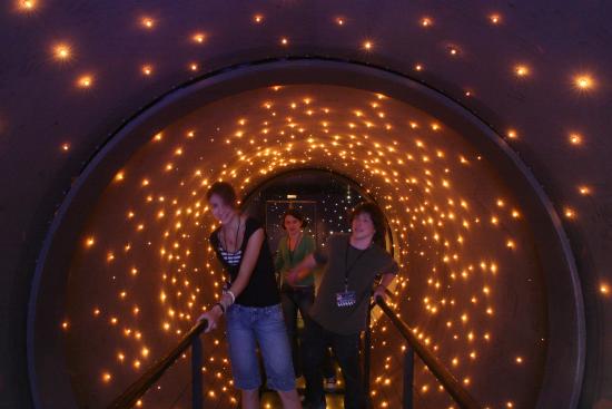 les etoiles du rex le