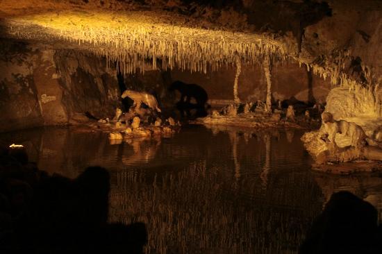 les grottes petrifiantes