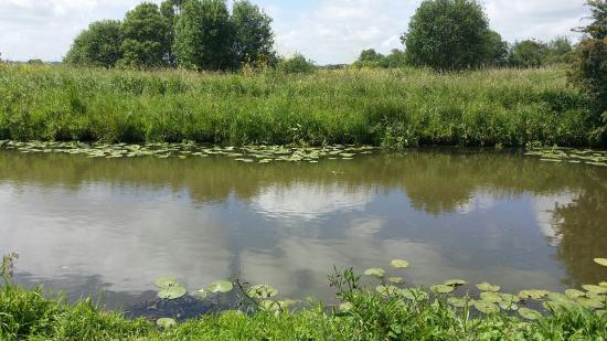 les marais du cotentin