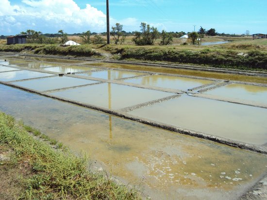 les marais salants de