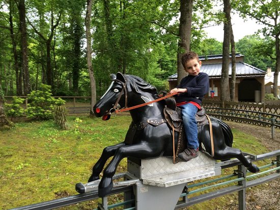 les petits chevaux un