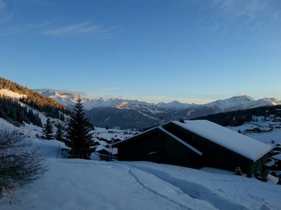 les saisies