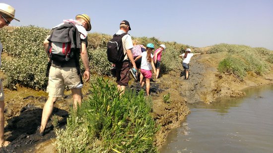 les sentiers de la baie