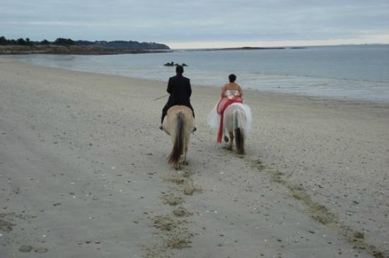 les sentiers du riellec