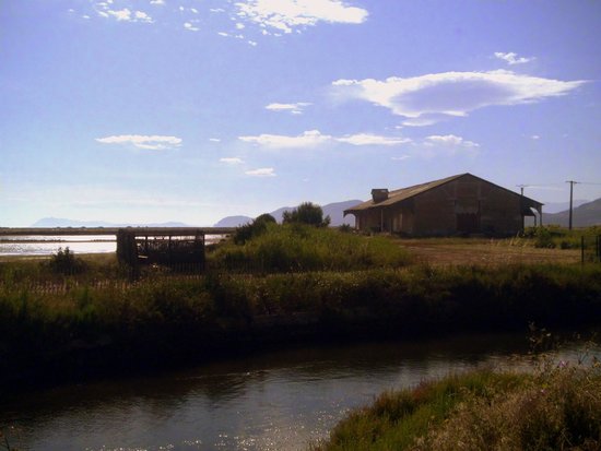 les vieux salins d hyeres