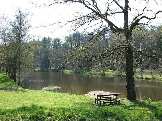 lizio walking trails