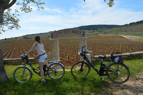 location de velos a assistance