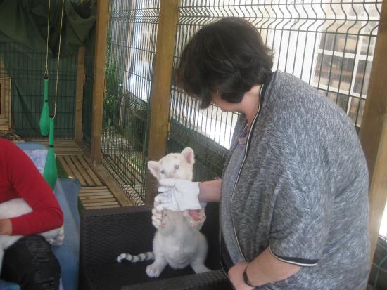 mad est au ange apres