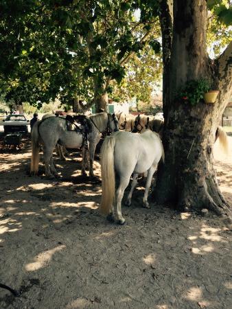 magnifique balade qui