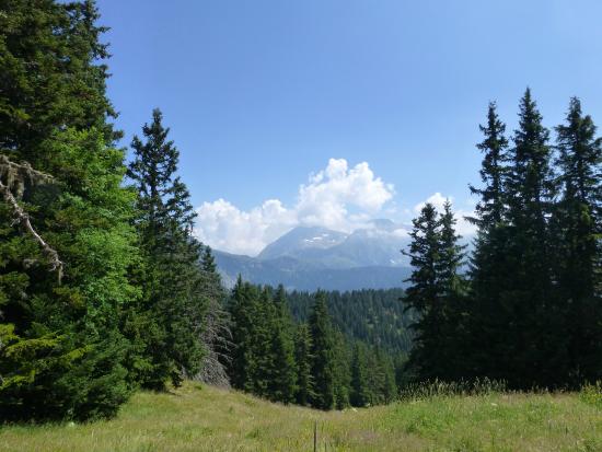 maison de la montagne