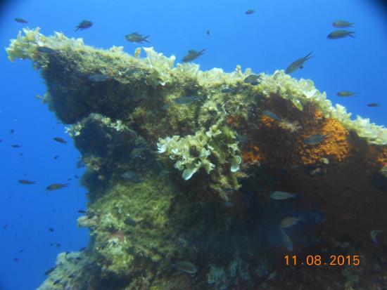 mediterranee porto sub