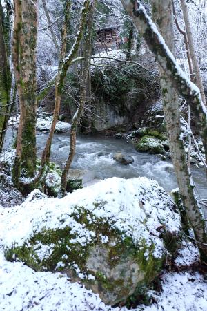 mousse verte et neige